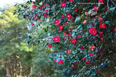 酒列磯前神社(茨城県)