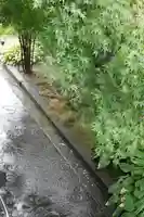 大福田寺の自然