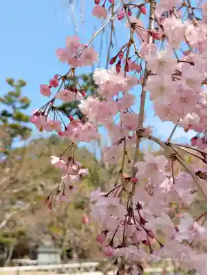  智積院(京都府)
