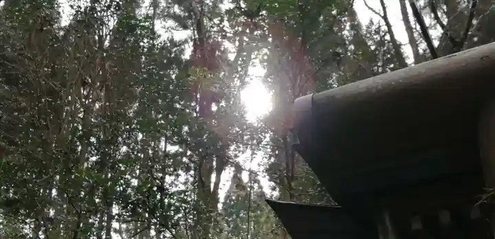 幣立神宮の自然