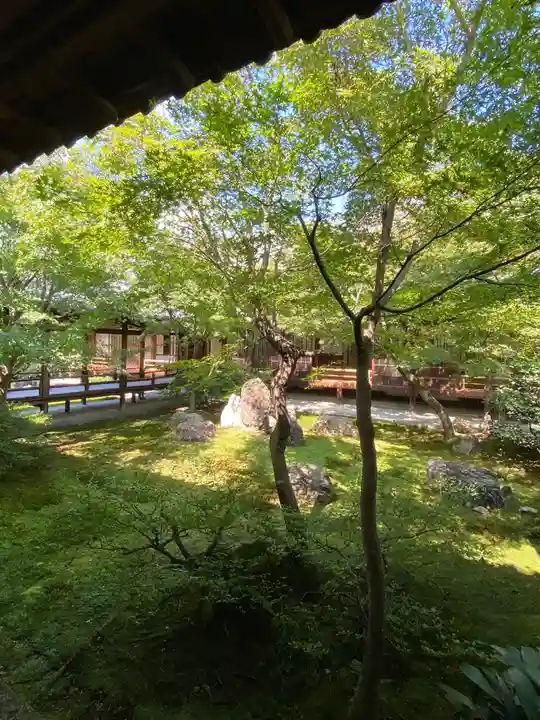 建仁寺(建仁禅寺)(京都府)