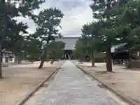 百萬遍知恩寺(京都府)