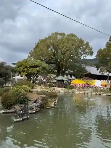 太宰府天満宮(福岡県)