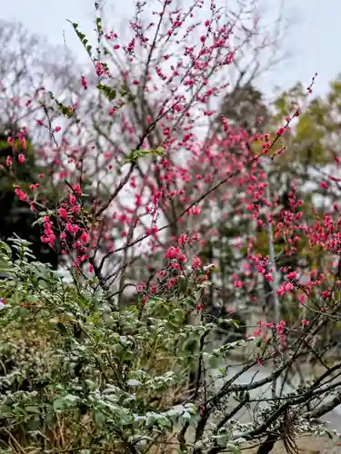 子鍬倉神社(福島県)