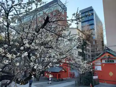 花園神社の自然