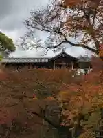 東福禅寺(東福寺)の自然
