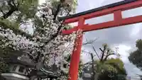 賀茂波爾神社(賀茂御祖神社境外摂社)(京都府)