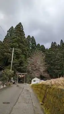 荒立神社(宮崎県)
