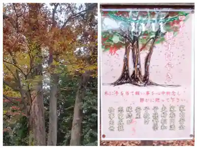 布多天神社(東京都)