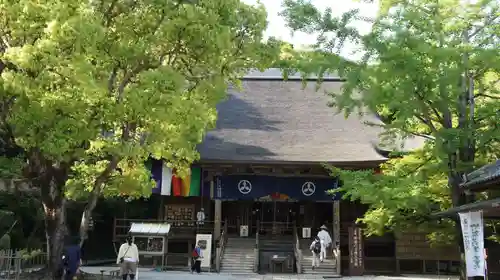 竹林寺(高知県)