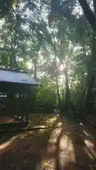 尾張大國霊神社（国府宮）の自然