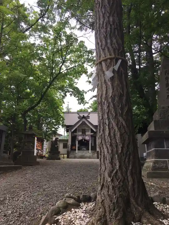 星置神社(北海道)