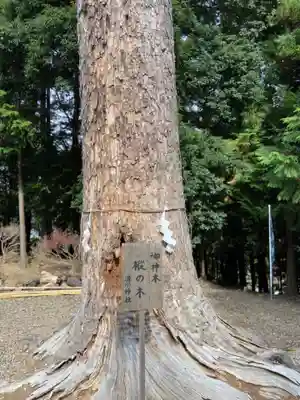 滑川神社 - 仕事と子どもの守り神のその他建物
