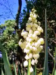 乃木神社(東京都)