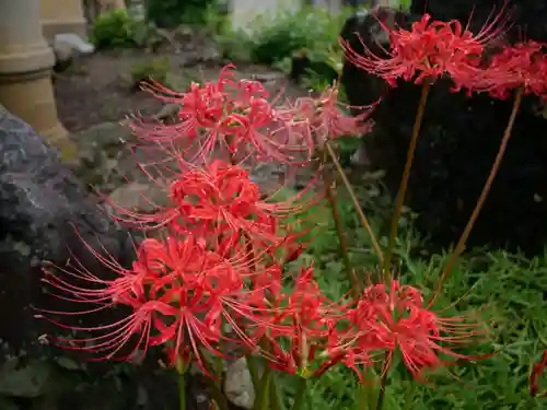 西光寺のその他建物