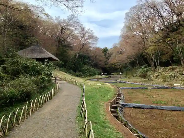 明治神宮(東京都)