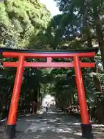 霧島神宮の鳥居
