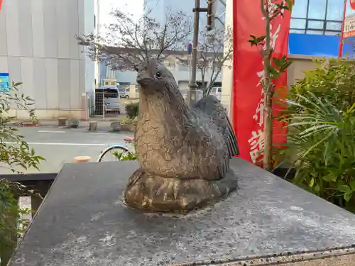 高知大神宮の狛犬