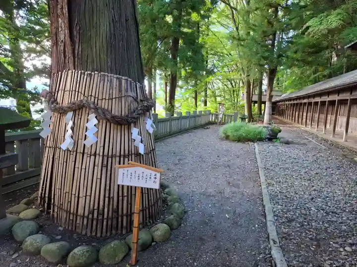 手長神社(長野県)