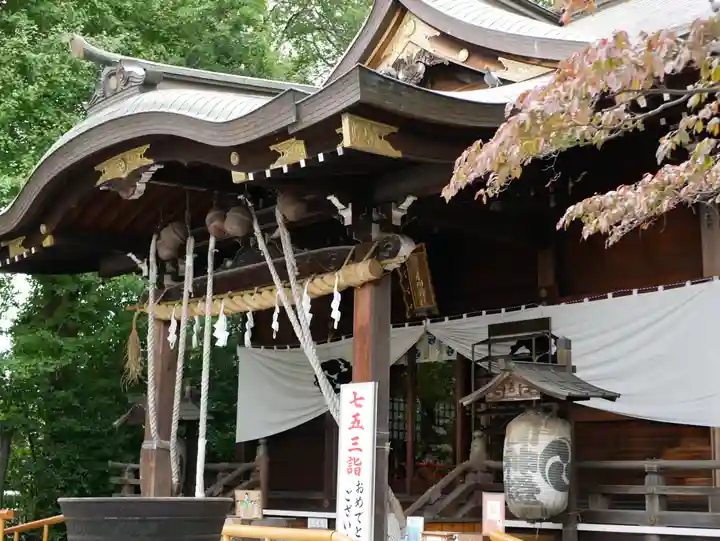 鎮守氷川神社の本殿・本堂
