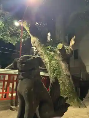 若宮神社(福岡県)