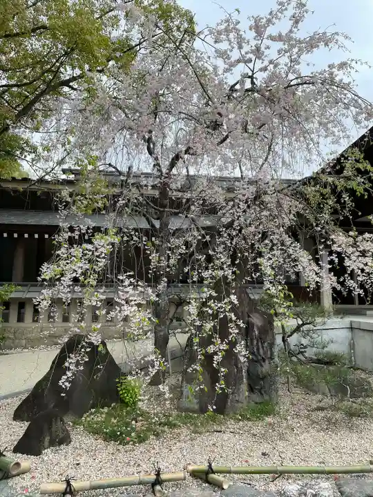 熱田神宮の自然