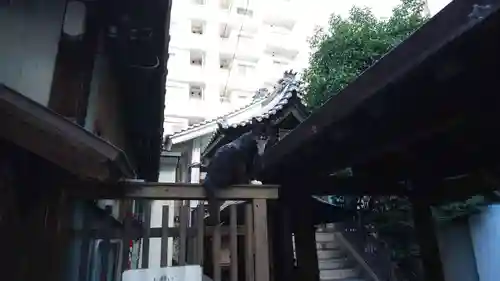 道祖神社(京都府)
