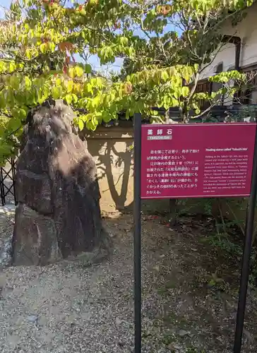 達磨寺の庭園