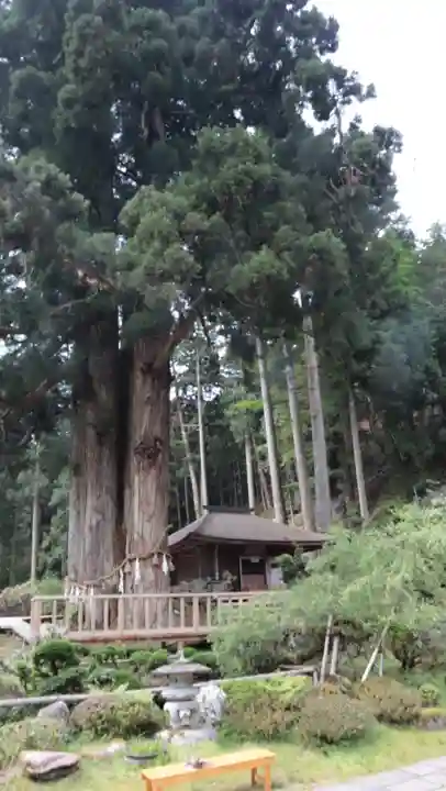 金剛三昧院(和歌山県)