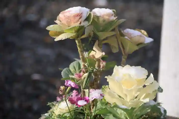熊野福藏神社の手水舎