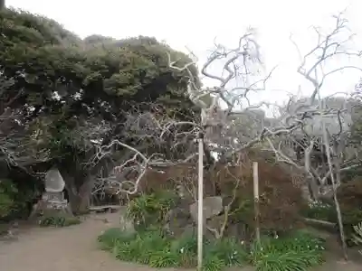 宝戒寺(神奈川県)