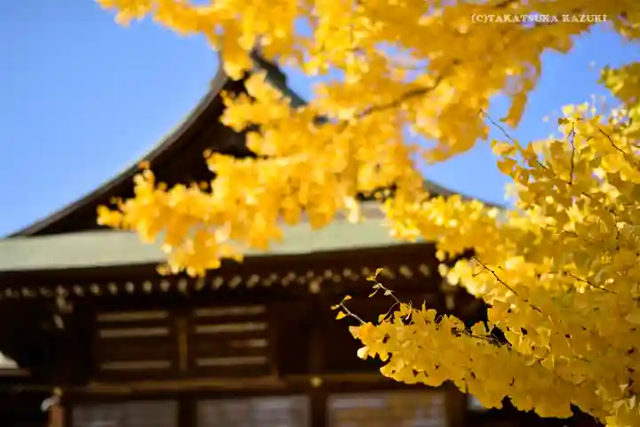 葛飾八幡宮(千葉県)