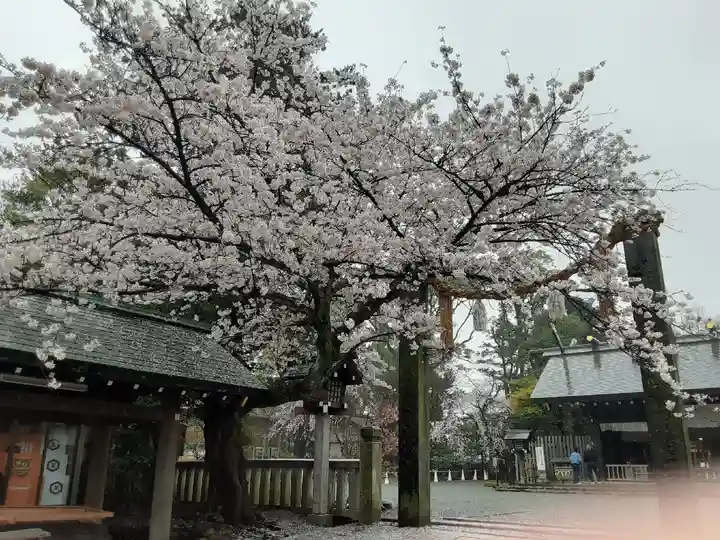 伊勢山皇大神宮(神奈川県)