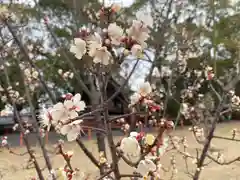 美奈宜神社(福岡県)