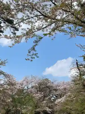 埼玉縣護國神社(埼玉県)