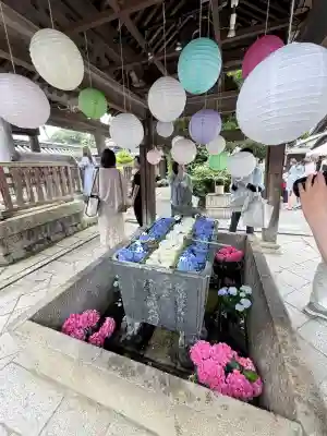 柳谷観音　楊谷寺(京都府)