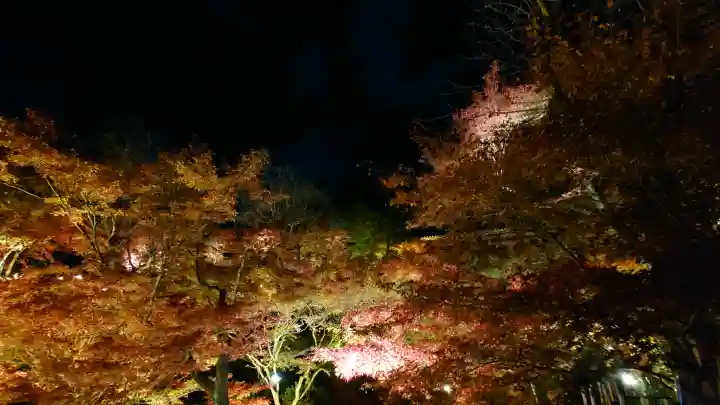 東福禅寺(東福寺)の{uncategorized: "未分類", other: "その他", undefined: "問題あり", building: "その他建物", grave: "お墓", sacred_gate: "鳥居", guardian: "狛犬", statue: "像", buddha: "仏像", history: "歴史", nature: "自然", garden: "庭園", animal: "動物", pagoda: "塔", temizu: "手水舎", mountain_gate: "山門・神門", sanctuary: "本殿・本堂", subordinate: "末社・摂社", art: "芸術", scenery: "景色", jizo: "地蔵", ema: "絵馬", goshuin: "御朱印", omikuji: "おみくじ", items: "授与品その他", amulet: "お守り", goshuincho: "御朱印帳", eats: "食事", festival: "お祭り", votive_dance: "神楽", shichigosan: "七五三参", wedding: "結婚式", experience: "体験その他", initially: "初詣", around: "周辺", anti_infection: "感染症対策"}