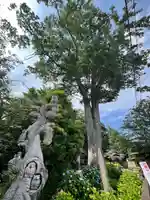 野木神社(栃木県)