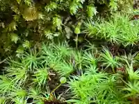 杉本寺(神奈川県)