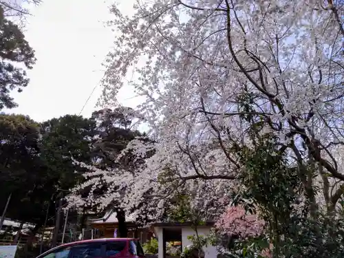 白山神社(愛知県)