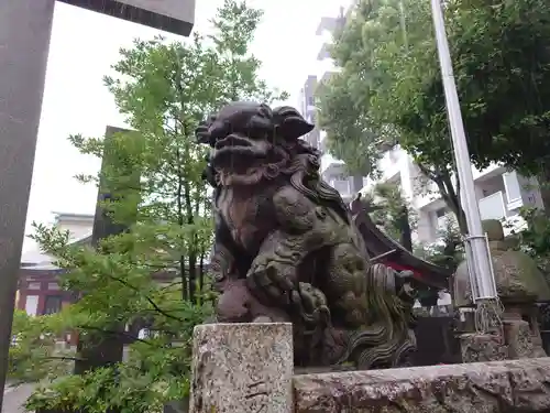 東神奈川熊野神社の狛犬