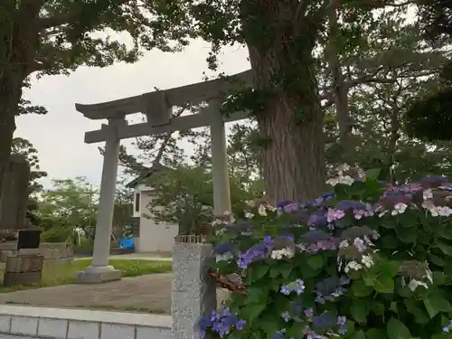 諏訪神社の鳥居