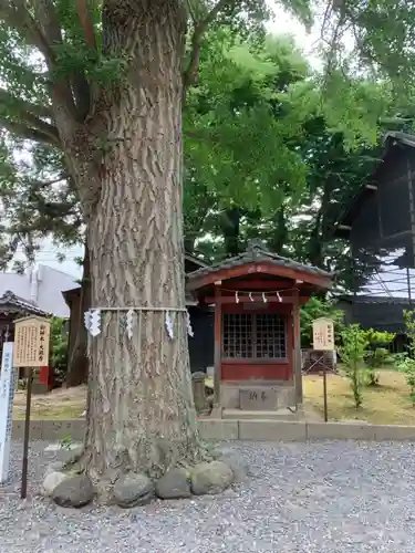 取手八坂神社の自然