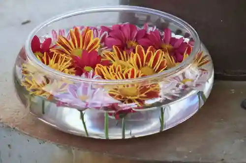 大鏑神社の手水舎