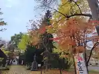永山神社の七五三参