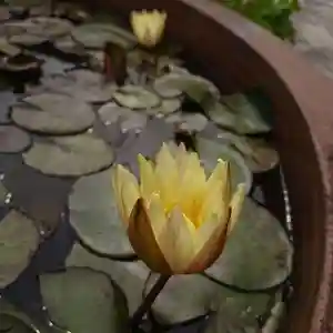 教西寺のその他建物(2020年06月15日(月) 22時12分57秒投稿)