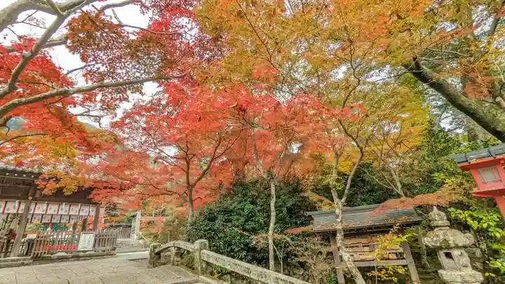 鍬山神社(京都府)