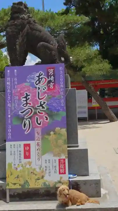 筥崎宮(福岡県)