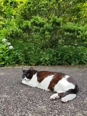 白金氷川神社(東京都)