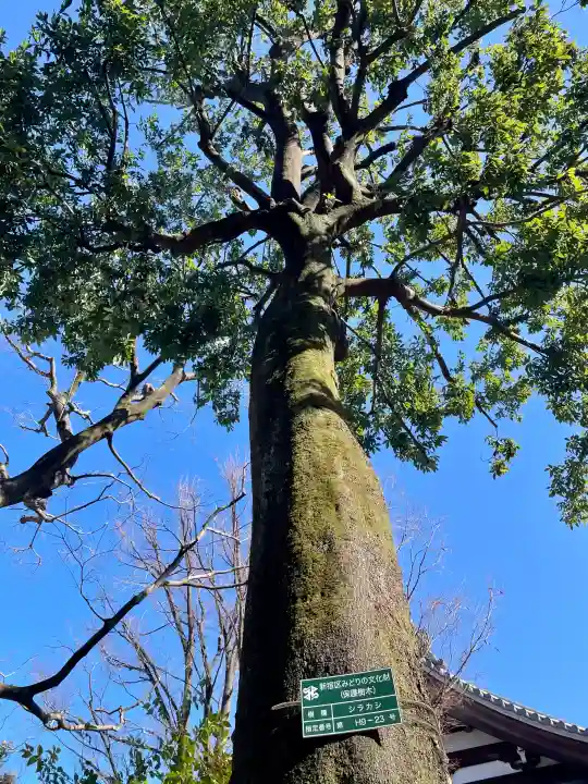 幸國寺の{uncategorized: "未分類", other: "その他", undefined: "問題あり", building: "その他建物", grave: "お墓", sacred_gate: "鳥居", guardian: "狛犬", statue: "像", buddha: "仏像", history: "歴史", nature: "自然", garden: "庭園", animal: "動物", pagoda: "塔", temizu: "手水舎", mountain_gate: "山門・神門", sanctuary: "本殿・本堂", subordinate: "末社・摂社", art: "芸術", scenery: "景色", jizo: "地蔵", ema: "絵馬", goshuin: "御朱印", omikuji: "おみくじ", items: "授与品その他", amulet: "お守り", goshuincho: "御朱印帳", eats: "食事", festival: "お祭り", votive_dance: "神楽", shichigosan: "七五三参", wedding: "結婚式", experience: "体験その他", initially: "初詣", around: "周辺", anti_infection: "感染症対策"}
